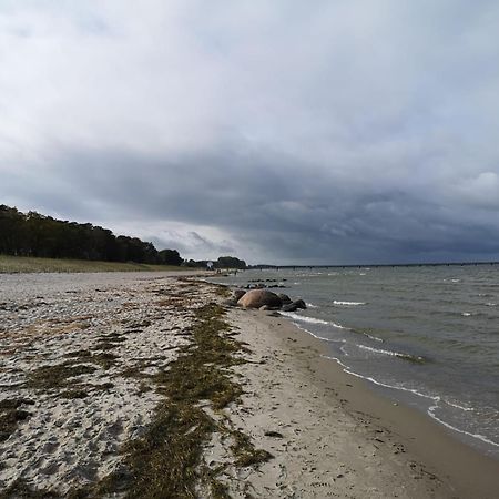 Ferienwohnungen "Weitblick" Und "Schwalbennest" Lodmannshagen Quarto foto