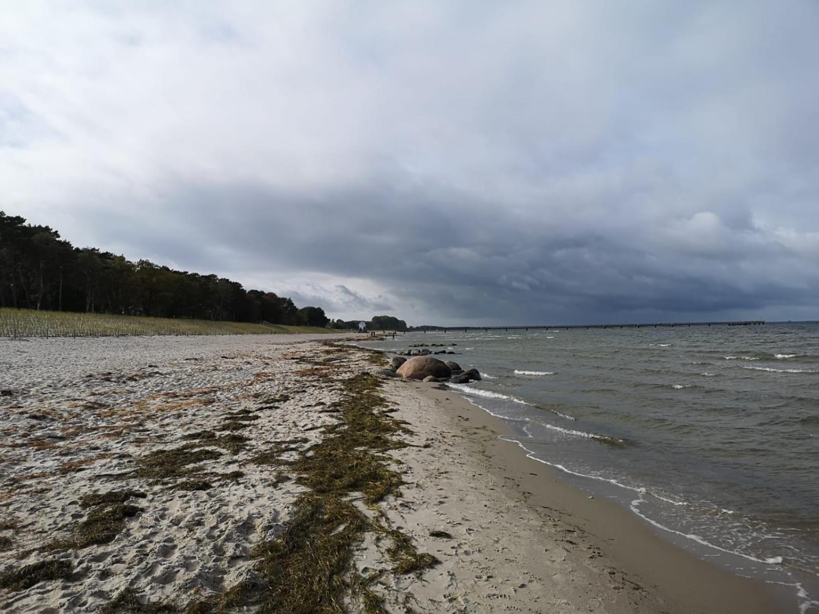 Ferienwohnungen "Weitblick" Und "Schwalbennest" Lodmannshagen Quarto foto