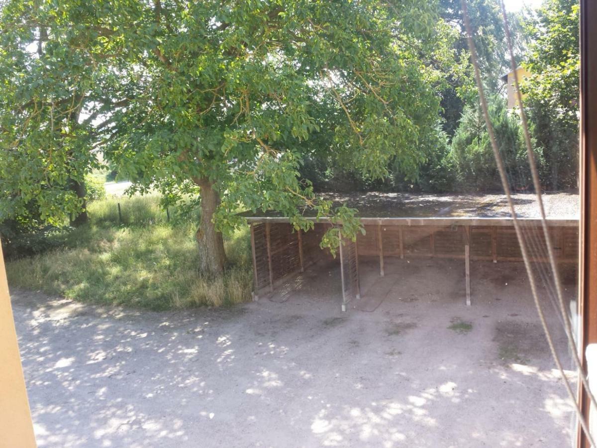 Ferienwohnungen "Weitblick" Und "Schwalbennest" Lodmannshagen Exterior foto